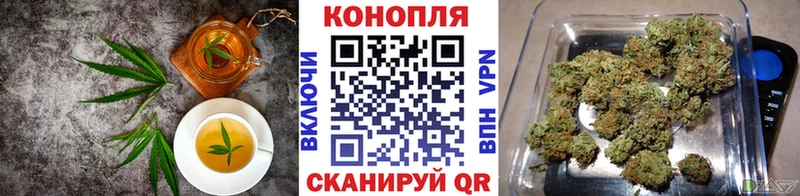 Купить  Алзамай  Еда ТГК марихуана 