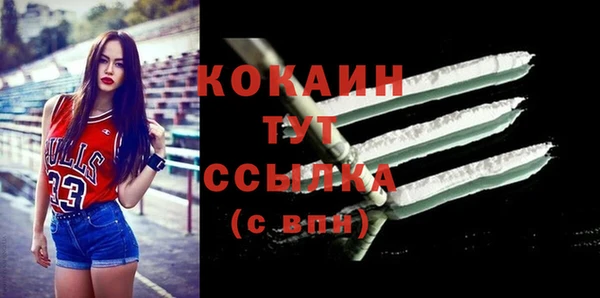 шишки Пересвет
