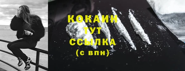 шишки Пересвет