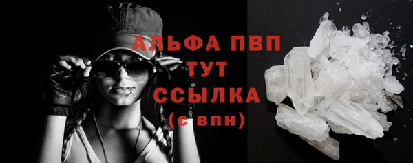 шишки Пересвет
