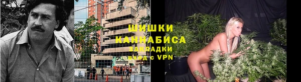 шишки Пересвет