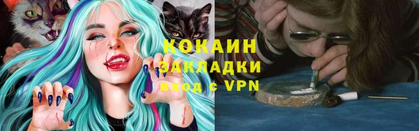 шишки Пересвет